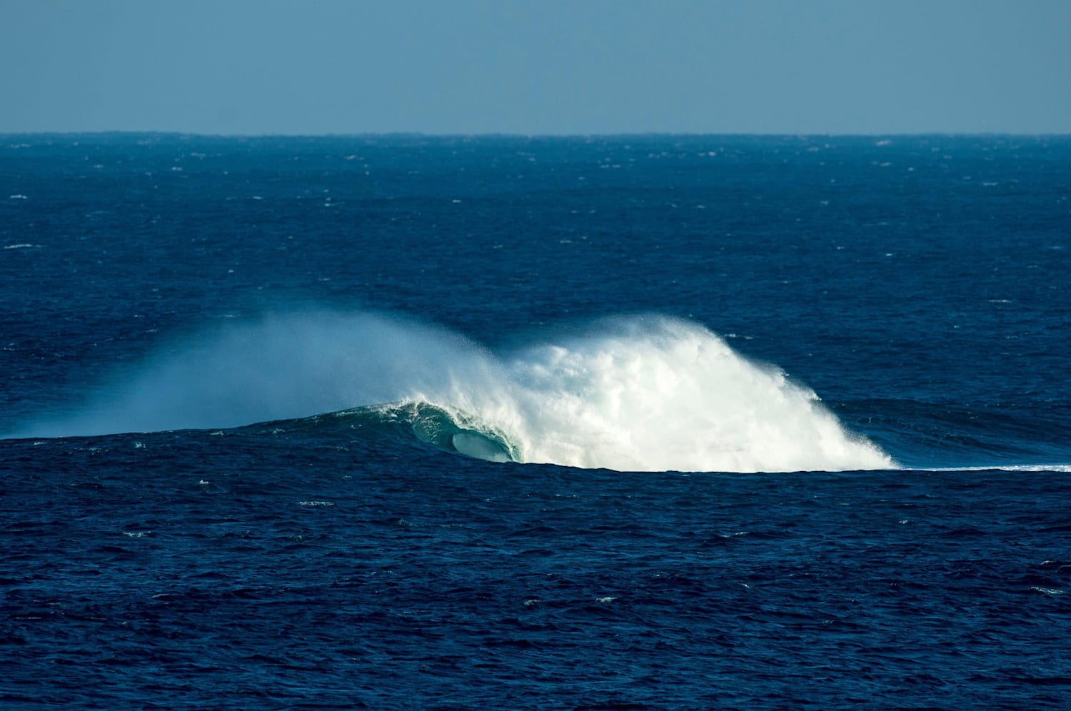 Surfing the box sale