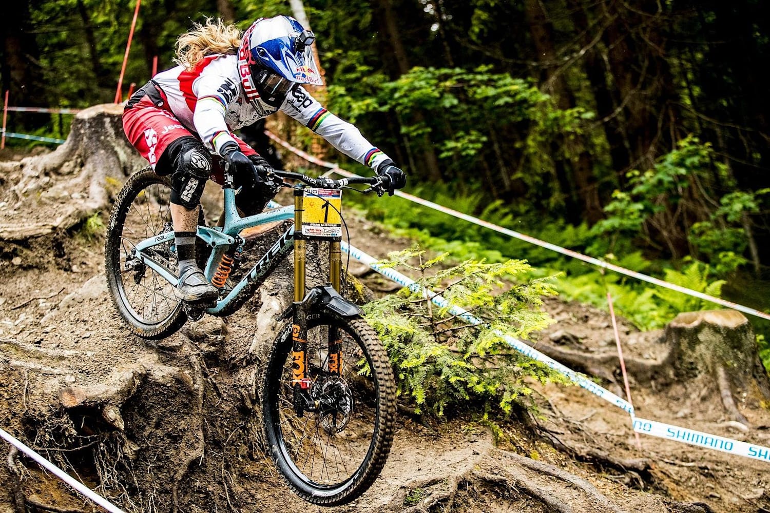 Descenso bici store