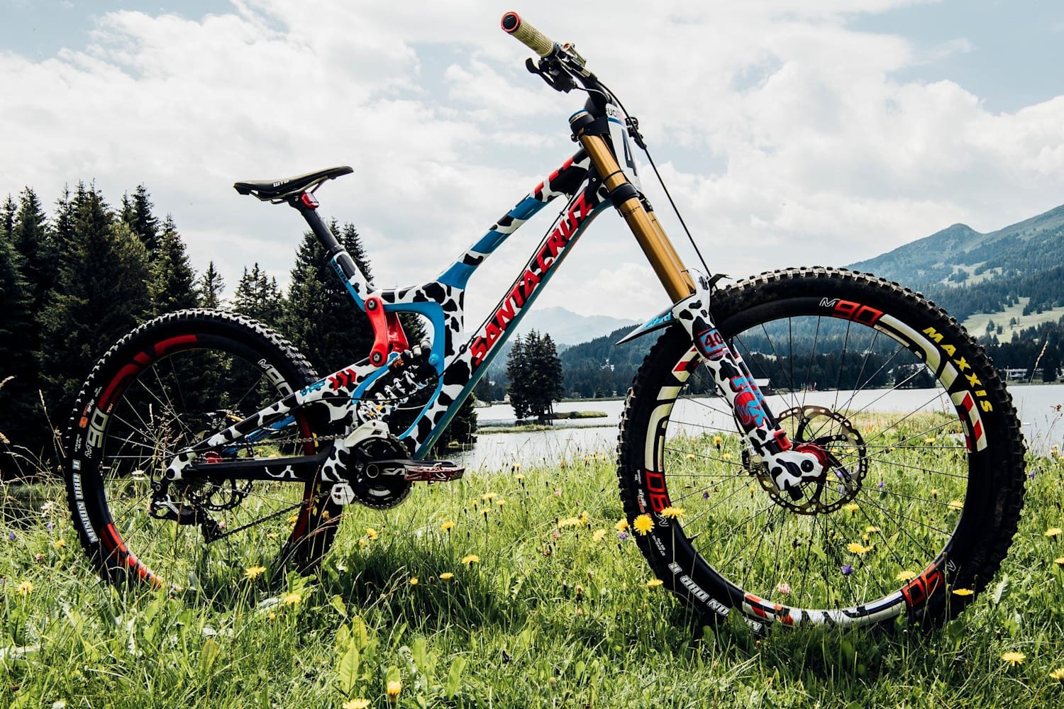 santa cruz downhill mountain bike