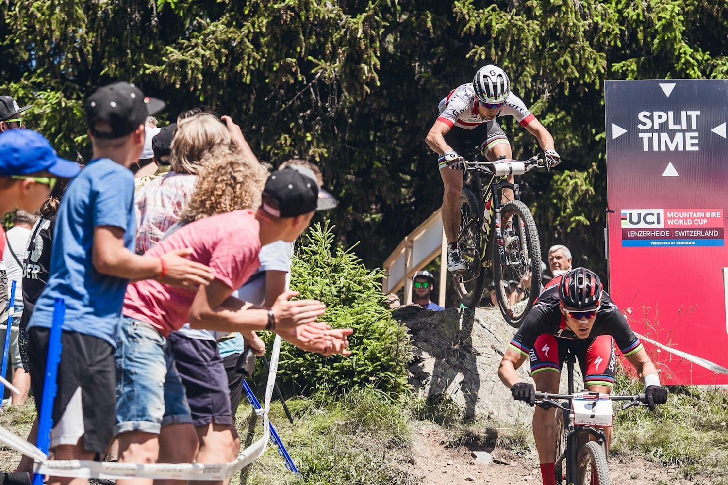 Que Tipo De Rider De Mountain Bike Eres