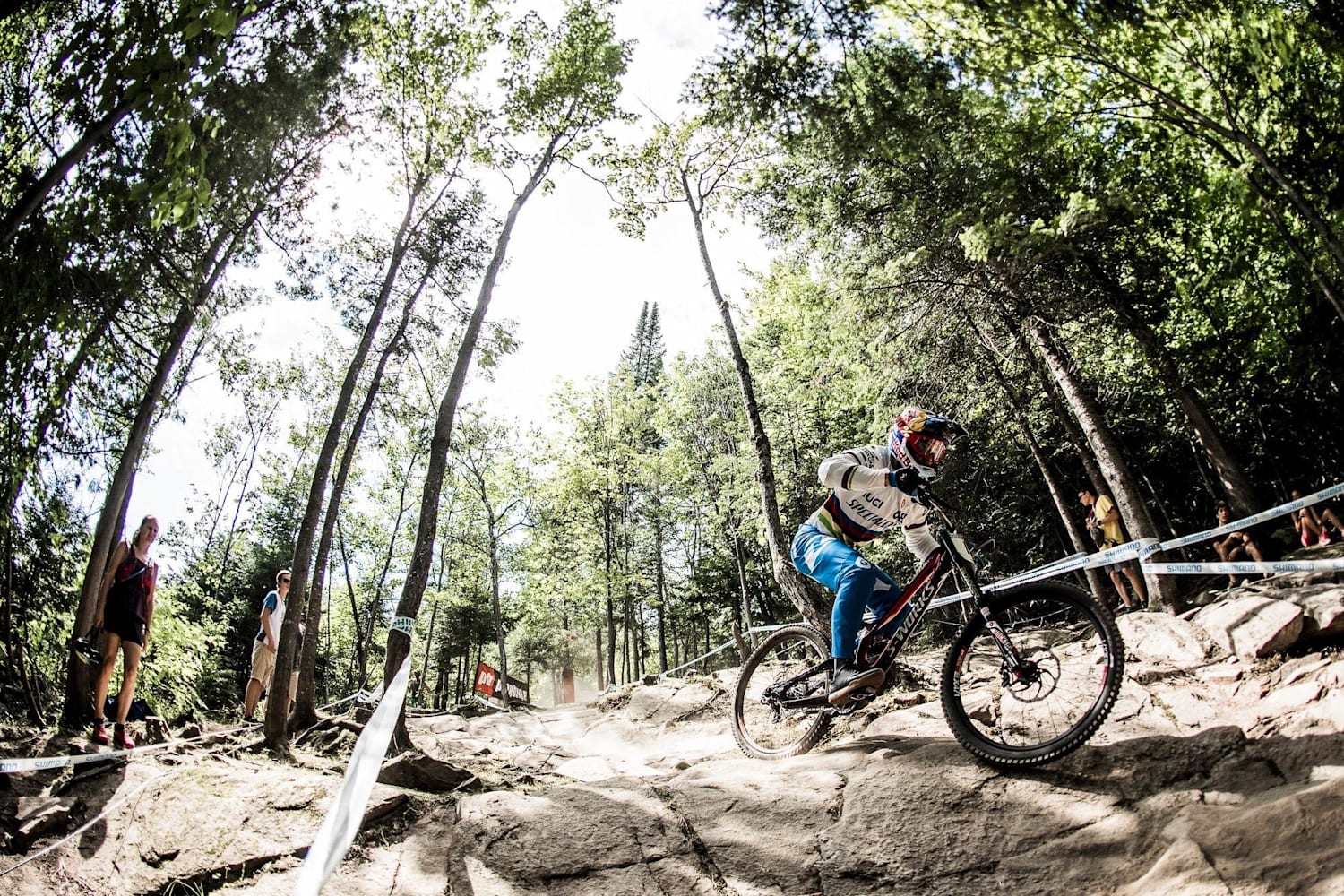 Mtb rock 2025 garden