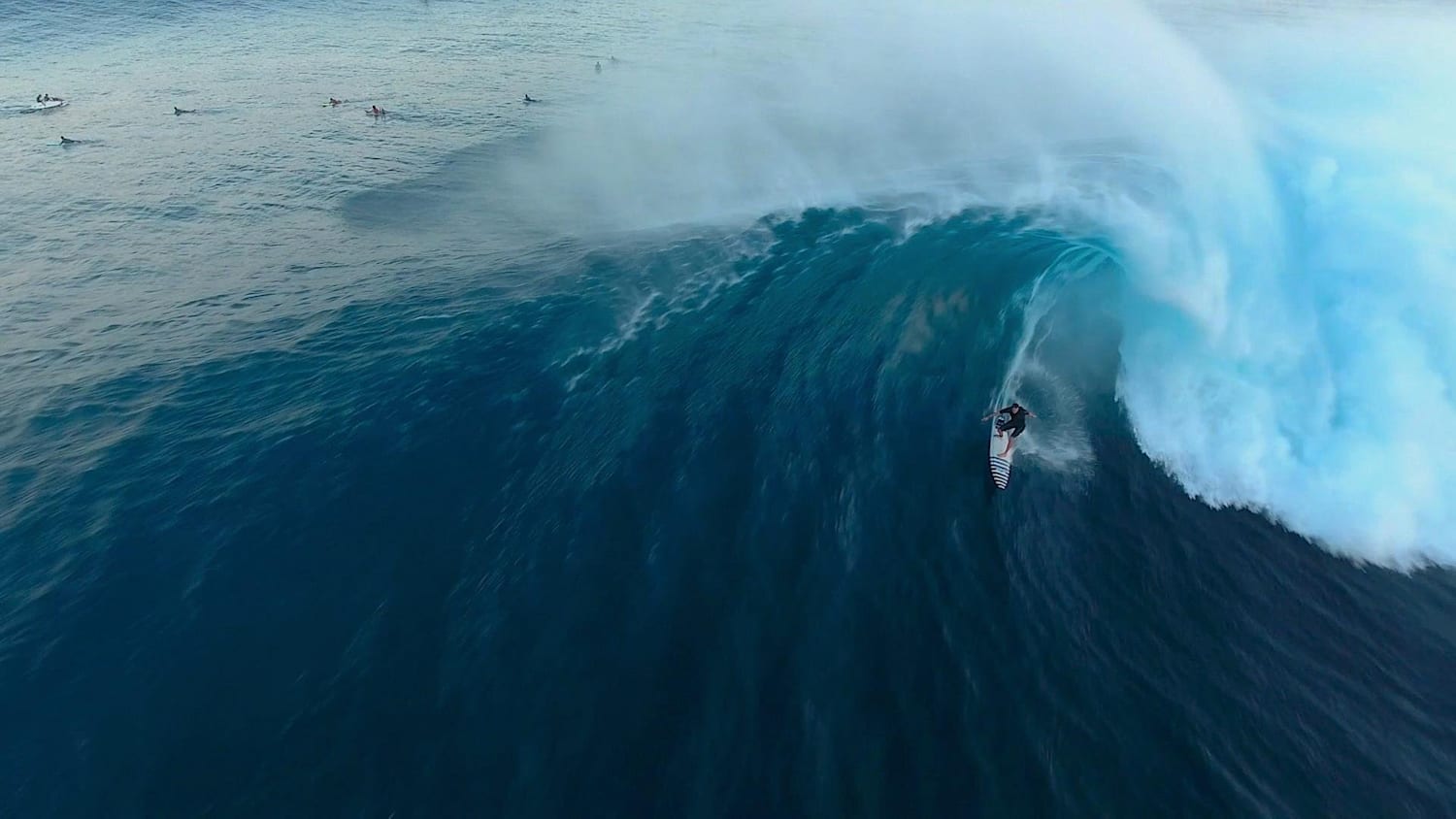 Watch Jaws flip on the Winter 2016 17 switch