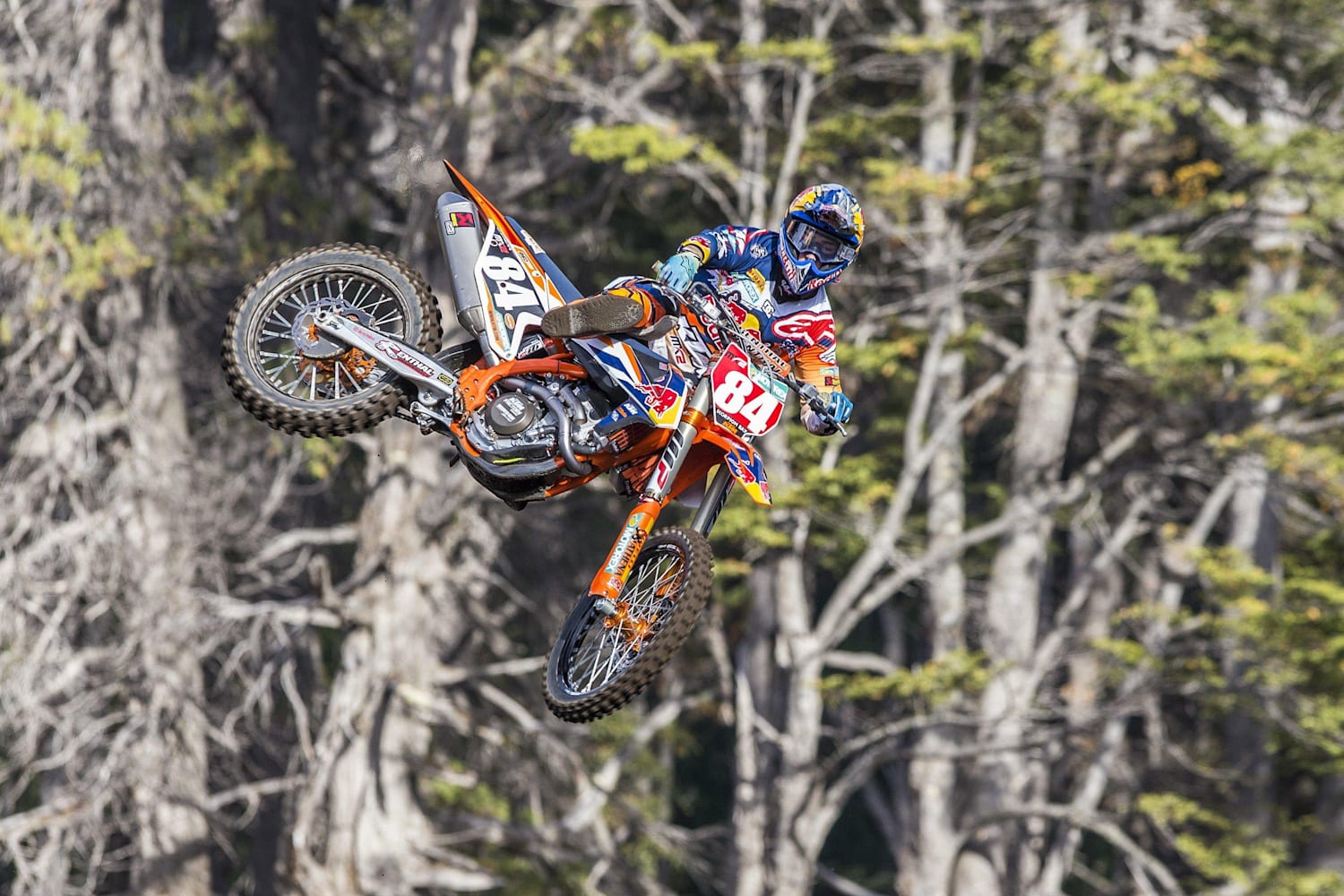 Motocross bikes: Best for beginners