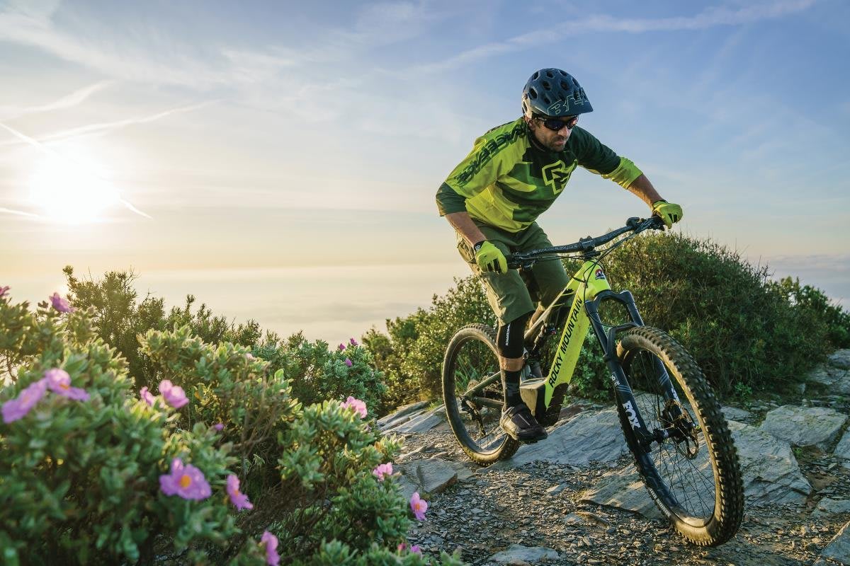 Downhill ebike sale