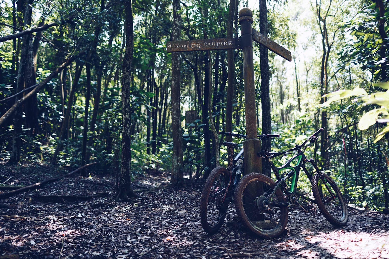 Kent ridge new arrivals bike trail
