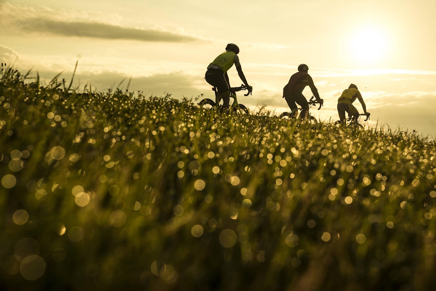 Furti Di Bici Ai Turisti In Italia