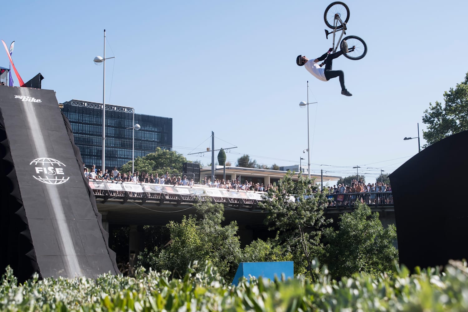 Diferencia entre discount bmx y freestyle