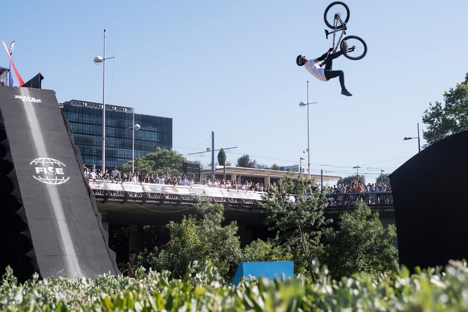 BMX Freestyle: All you need to know with Daniel Dhers