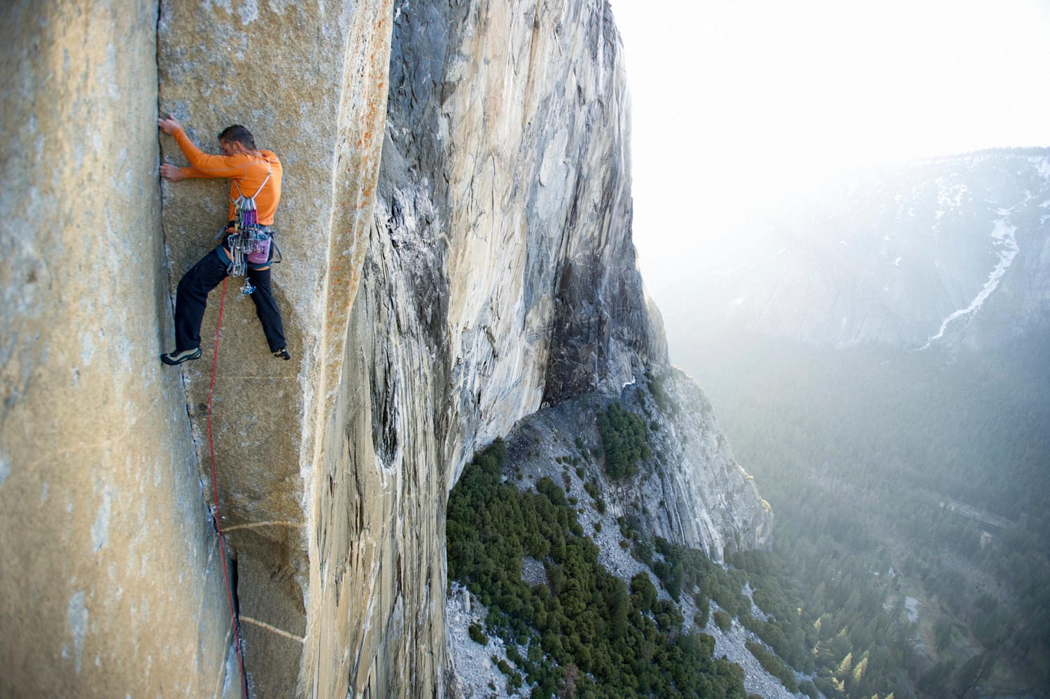 Dawn wall cheap