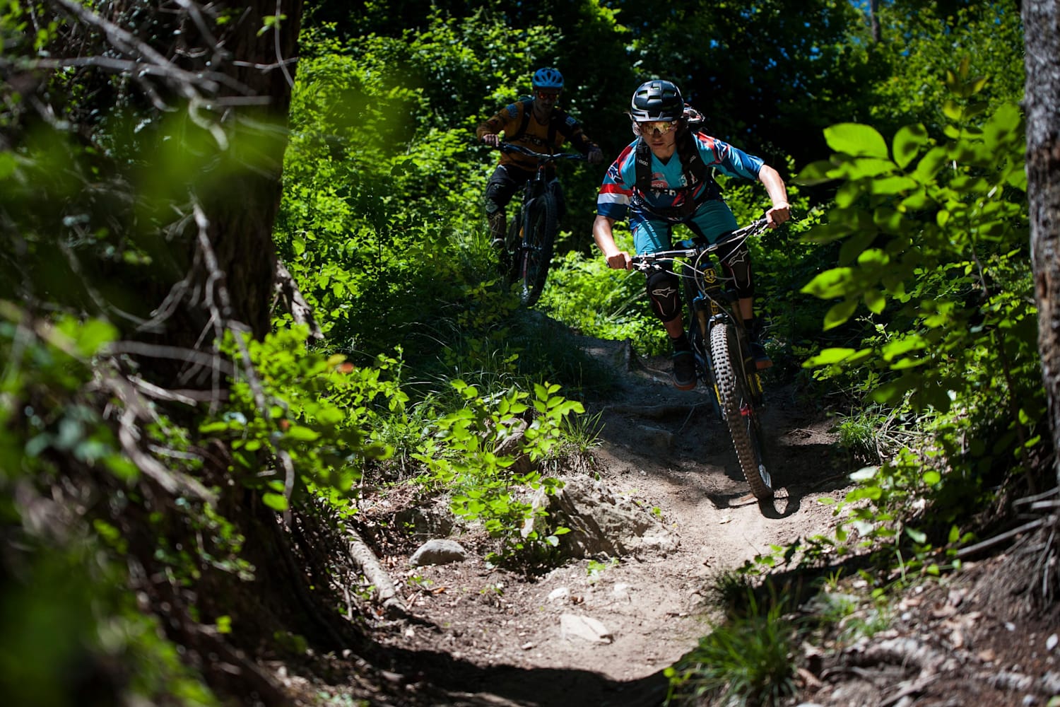 downhill mountain bike park near me