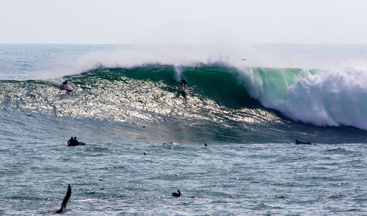 Pico alto discount peru surf