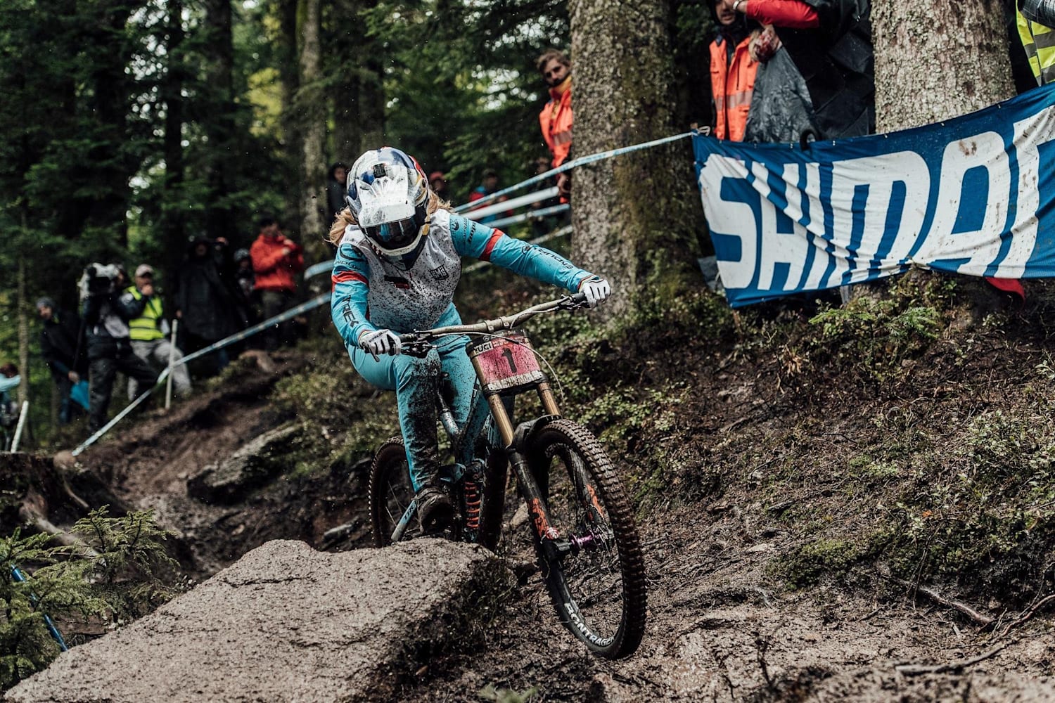 dh world cup