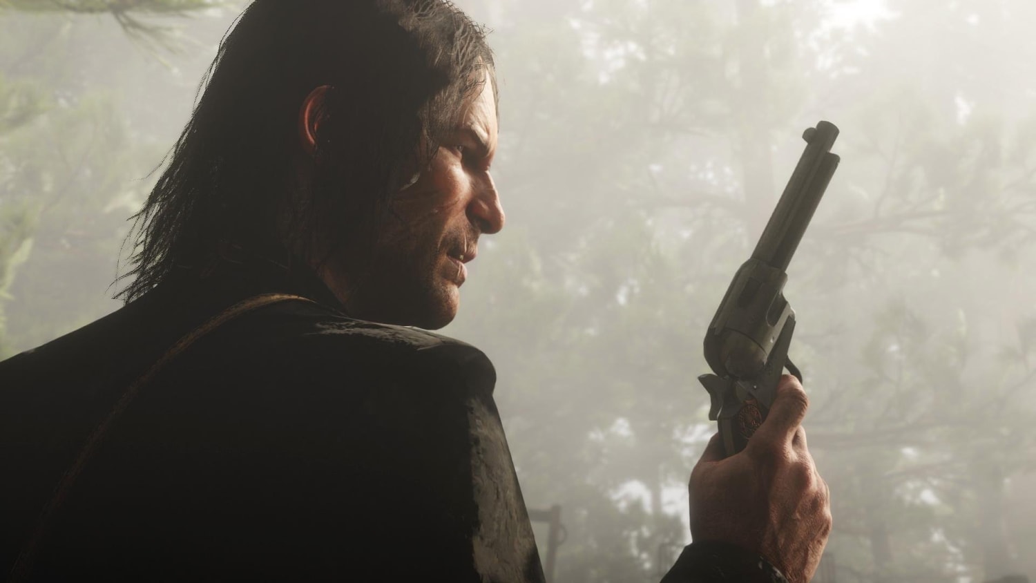 Online weapons and more in story mode at Red Dead Redemption 2