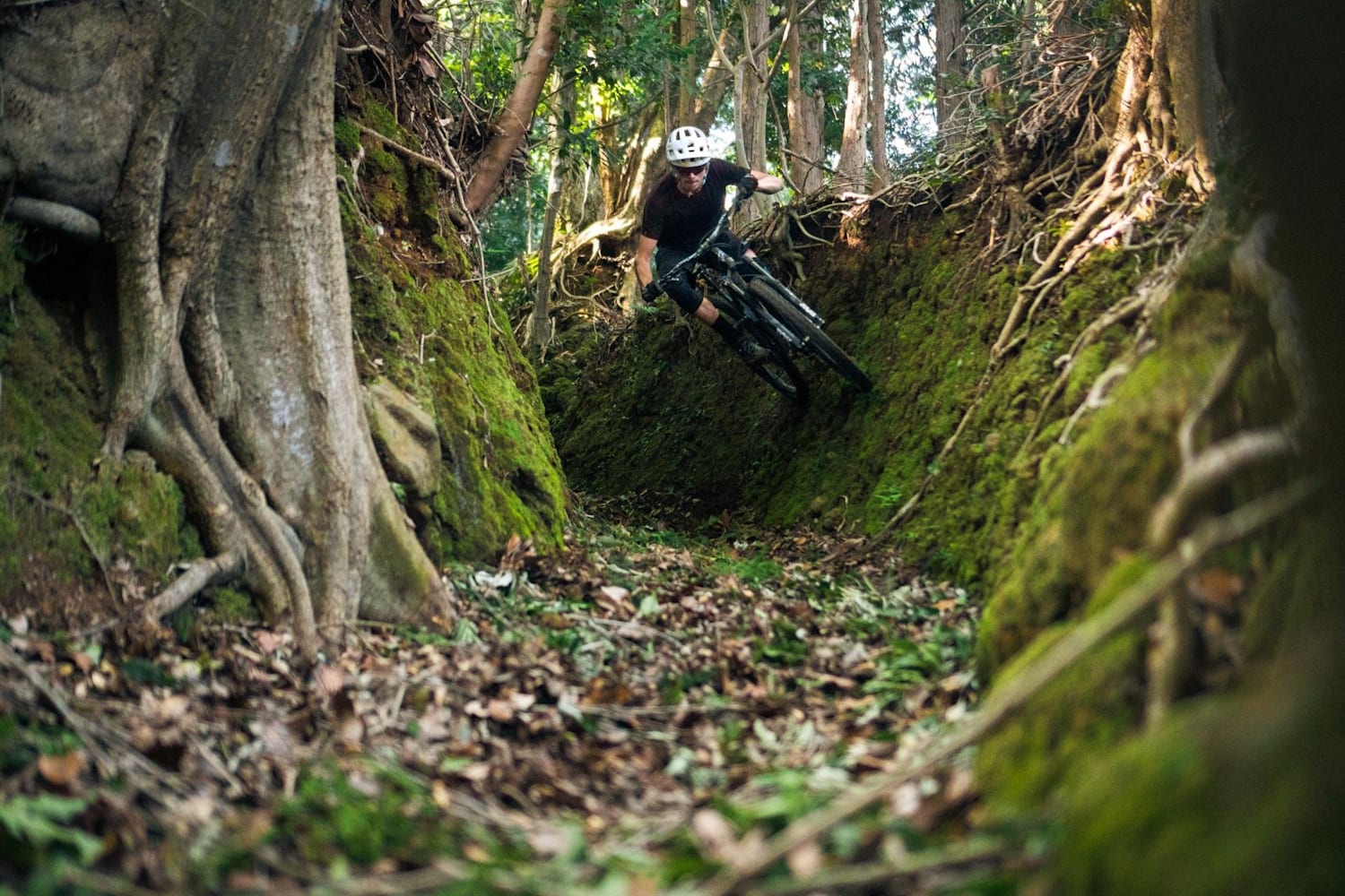 Fujiten bike park online