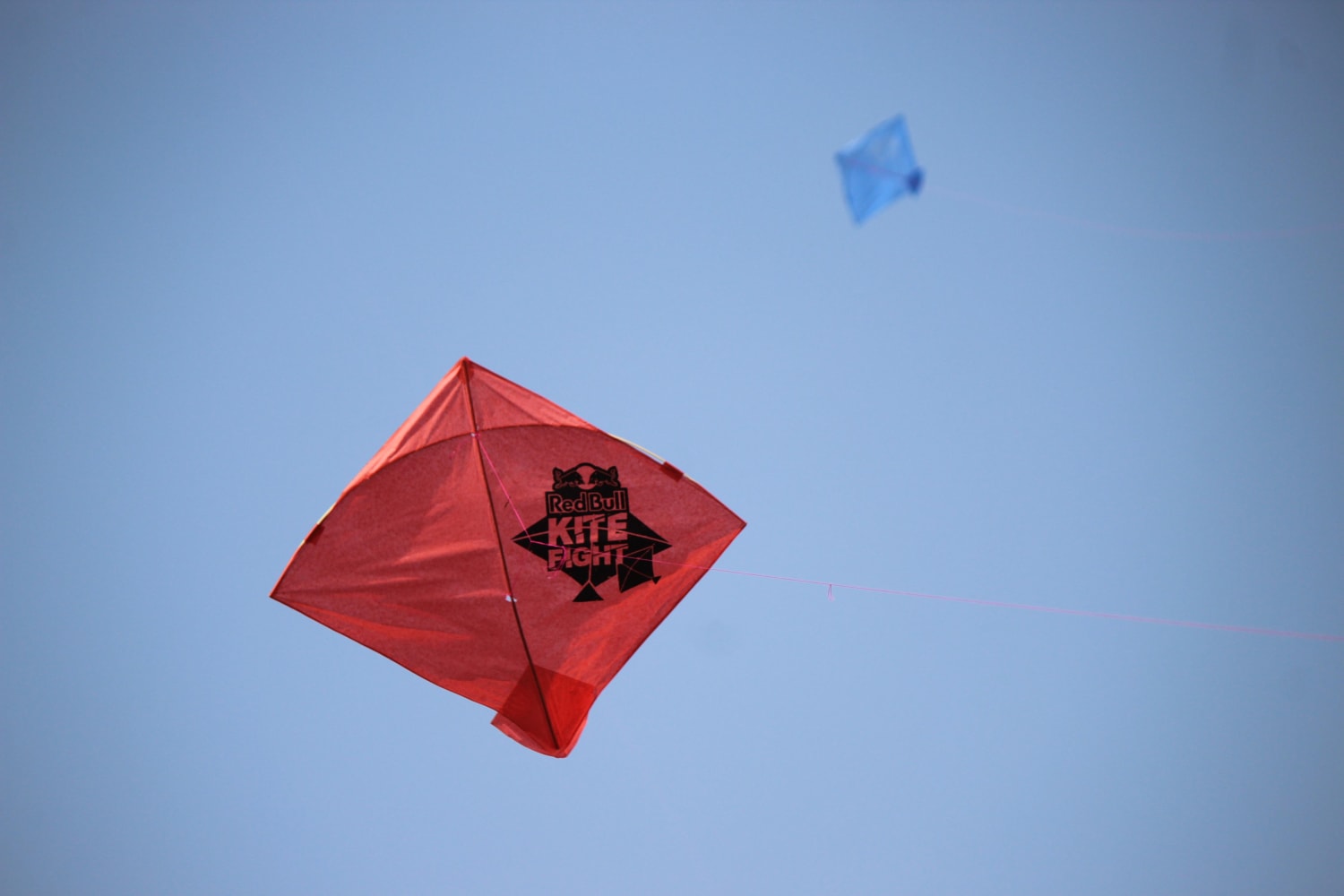 Red Bull Kite Fight 2019: Results