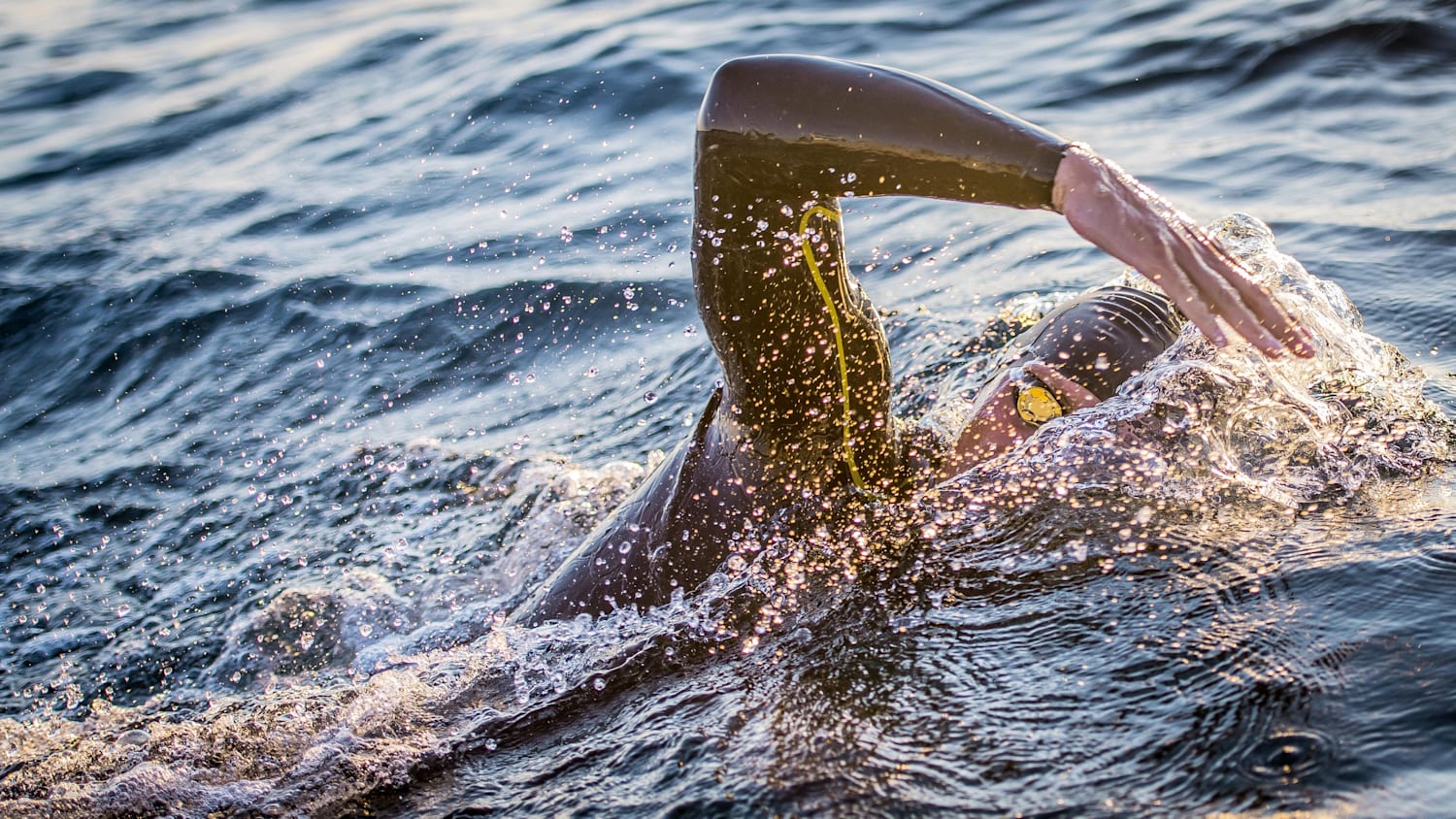 Open water swimwear new arrivals