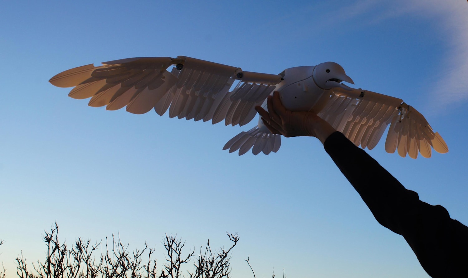 flying bird drone for cats