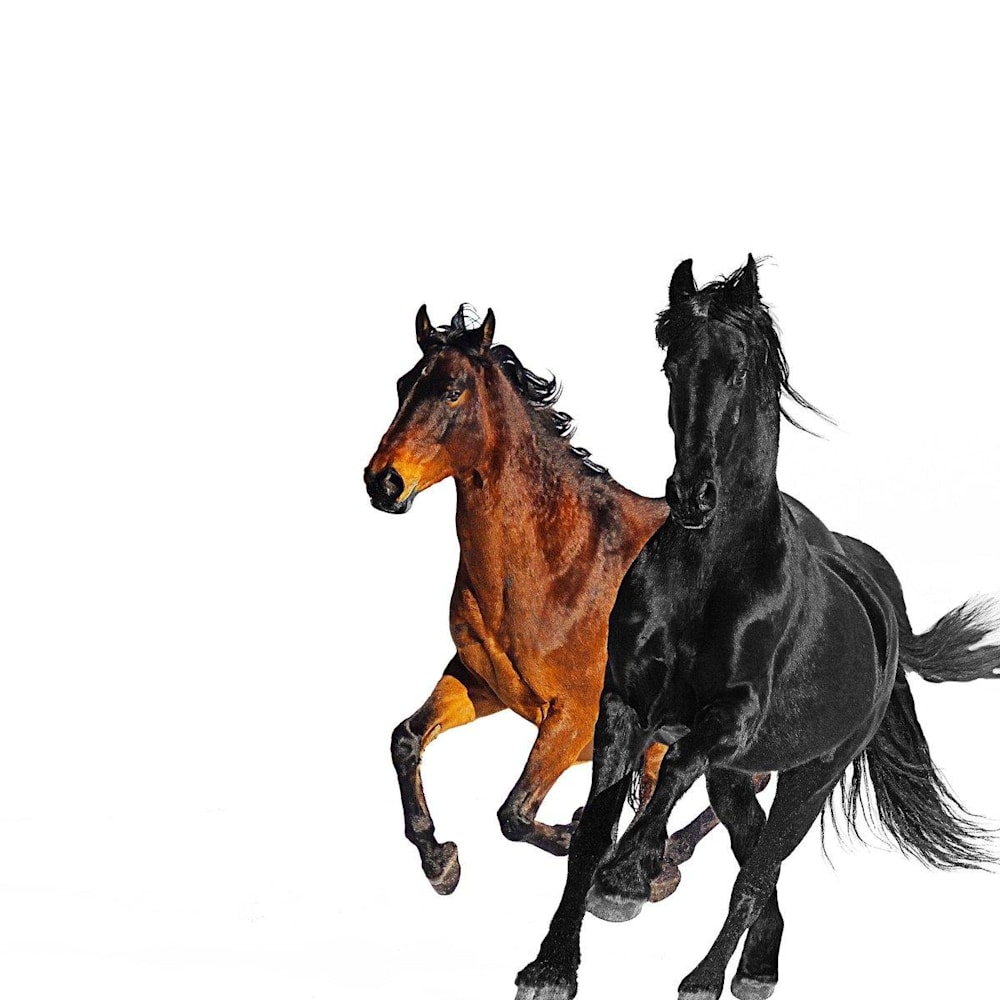 Id Da Musica Old Town Road