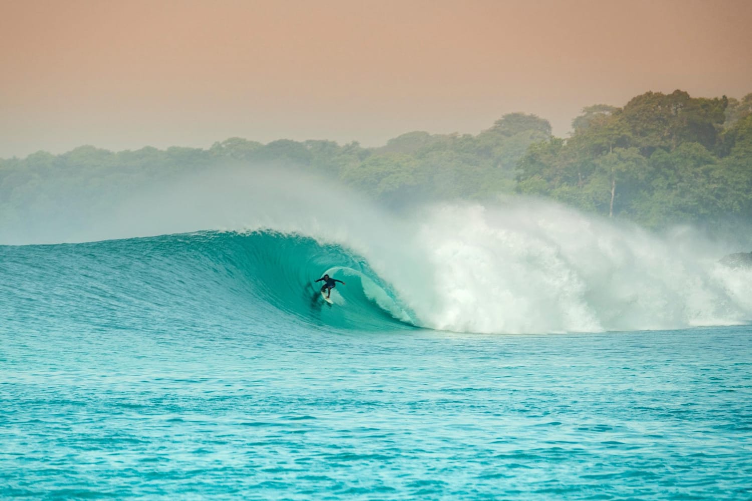 Barrel surf shop