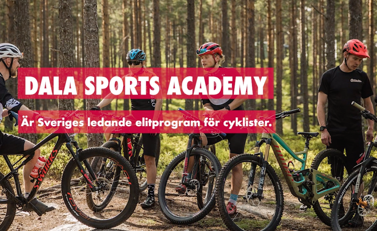 This Training Academy Attracts Sweden S Best Riders