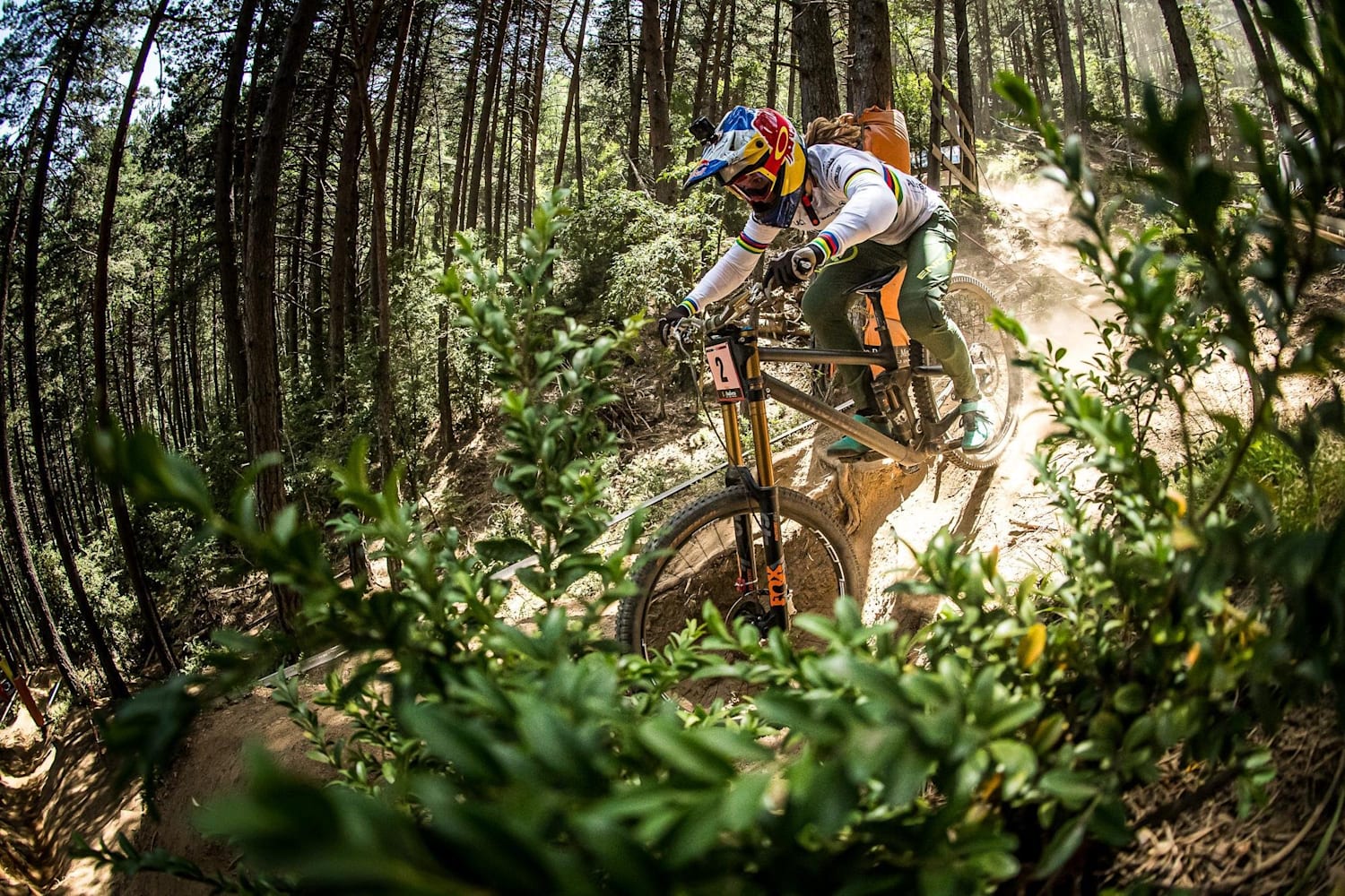 Uci downhill qualifying results clearance