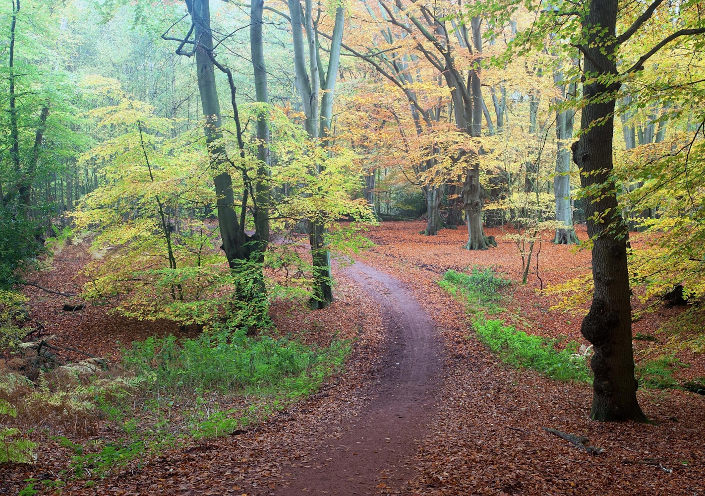 Run trails outlet