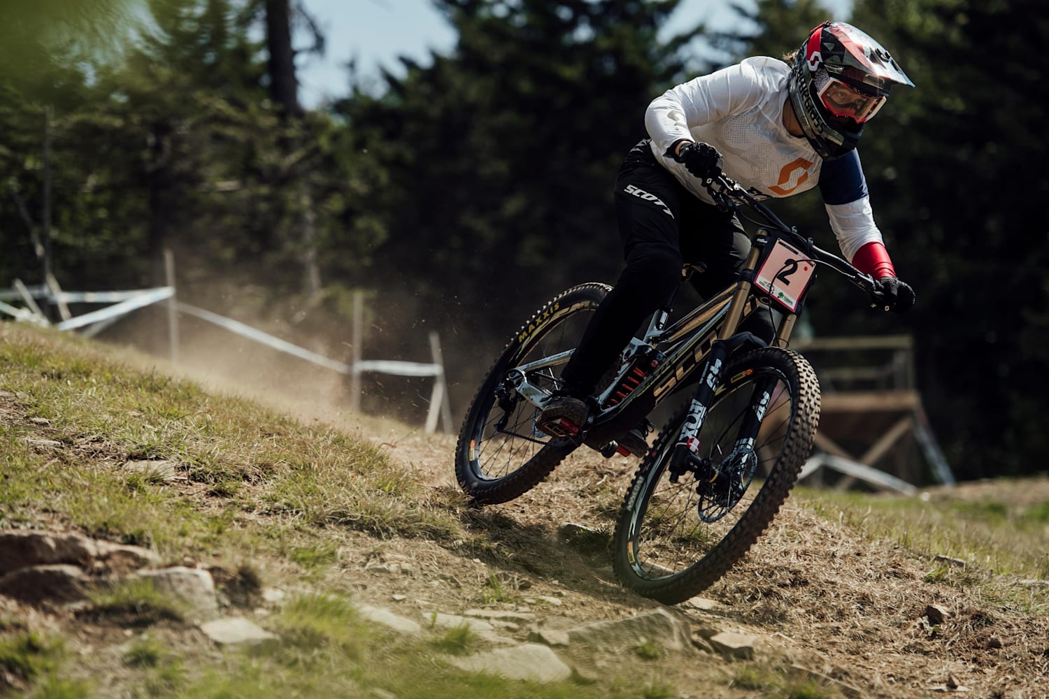 Wc downhill 2019 on sale