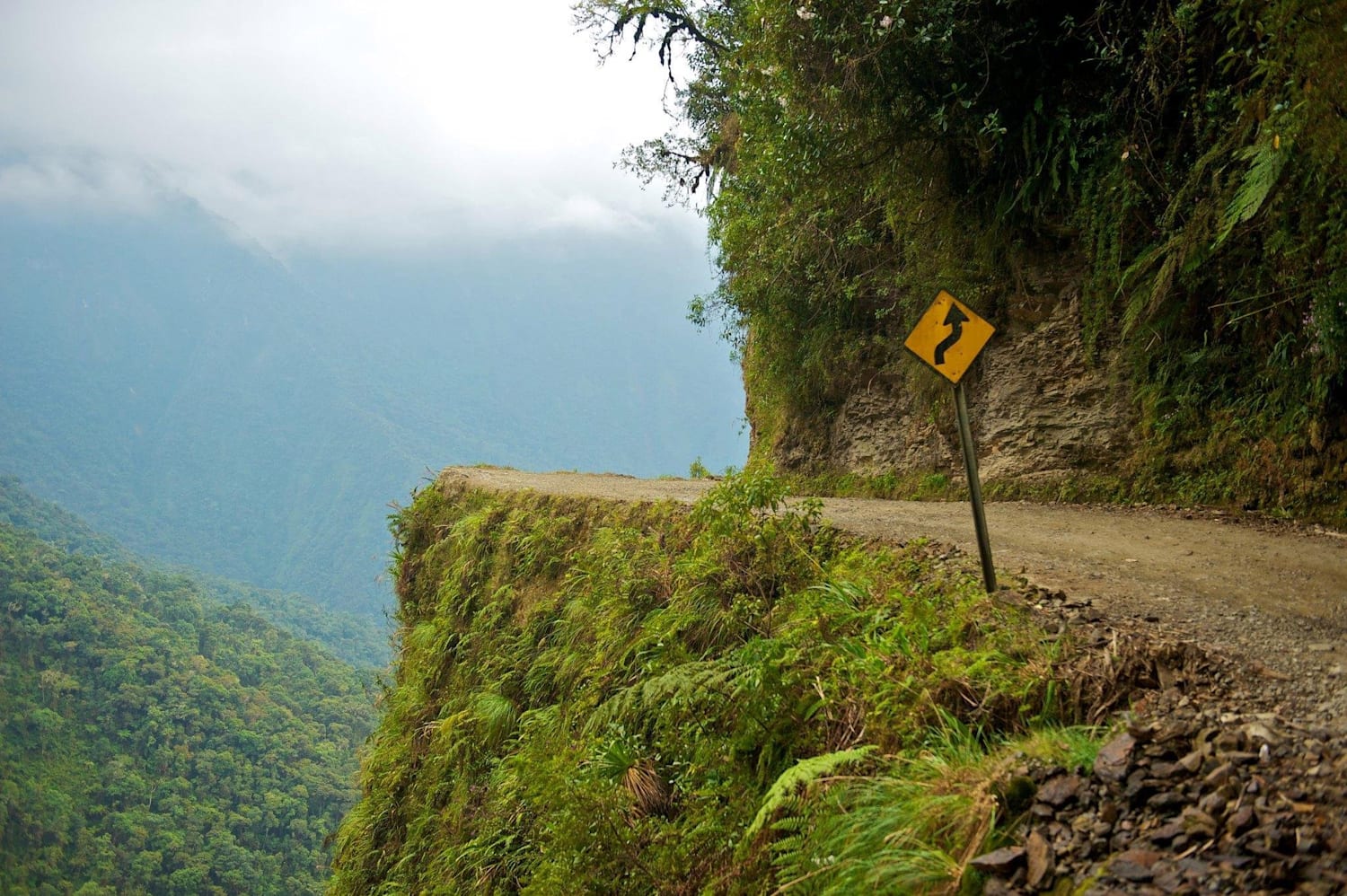 Cycling on the most dangerous road in the new arrivals world