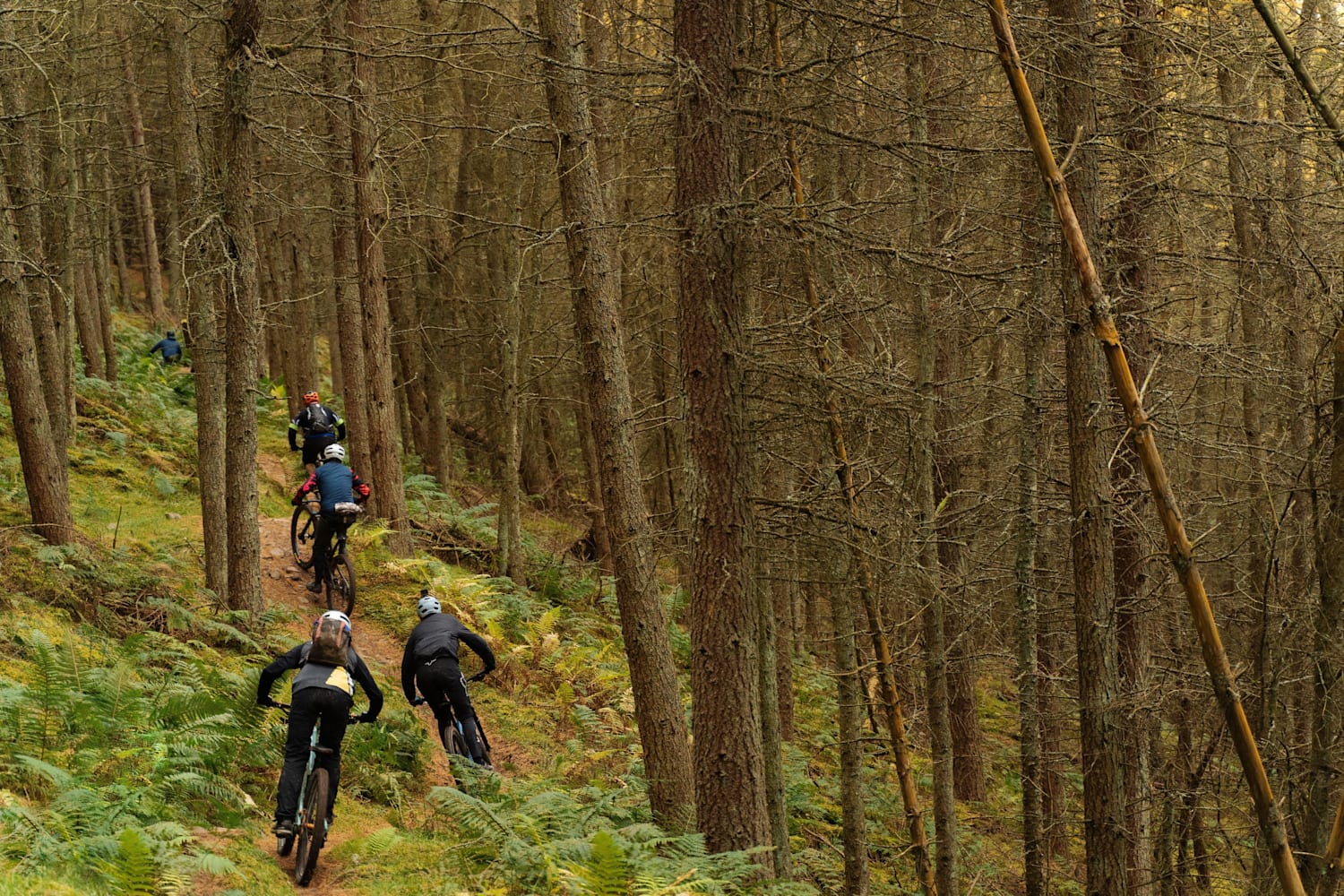 Glentress uplift new arrivals