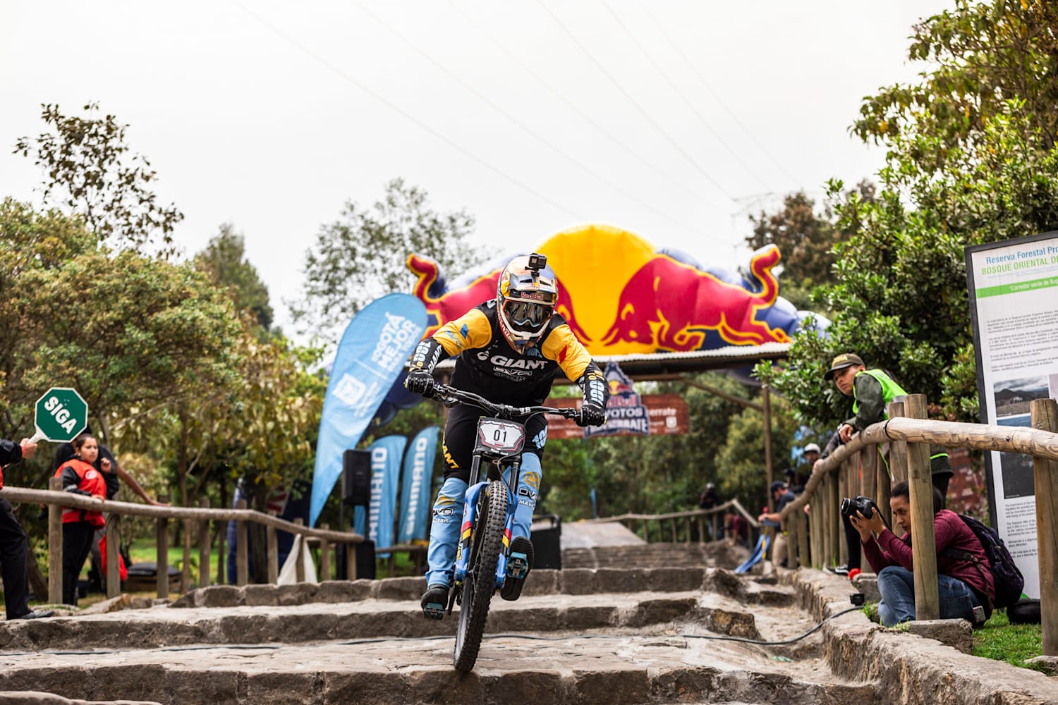 Red bull downhill 2020 clearance