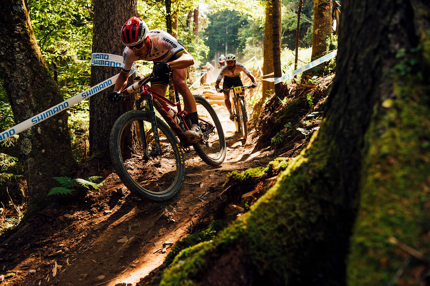 Vtt descente 2020 deals