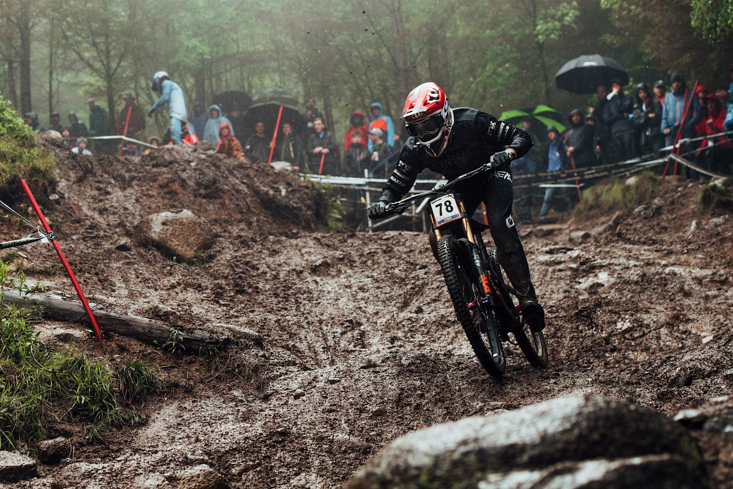 red bull downhill bike