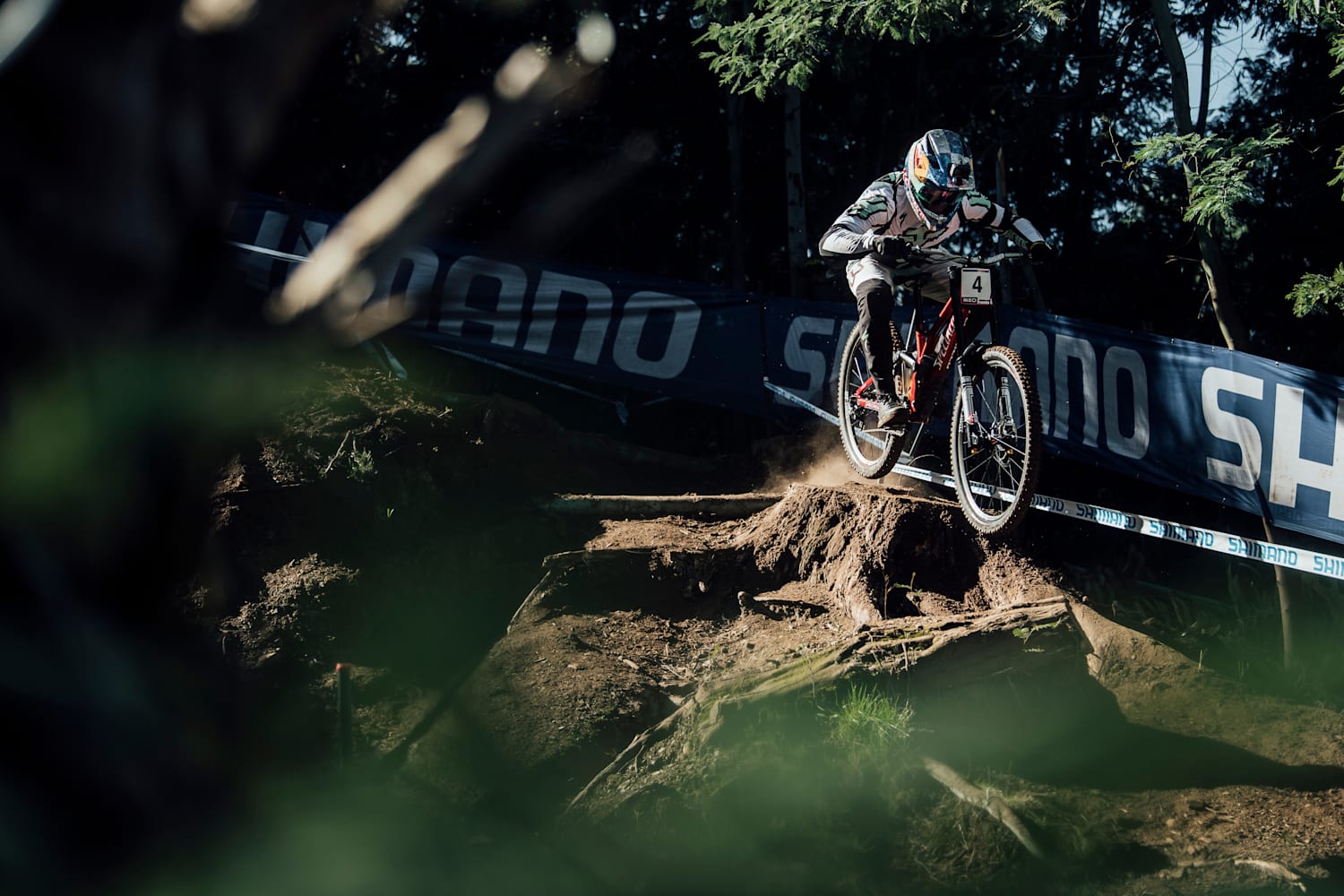 red bull downhill 2020