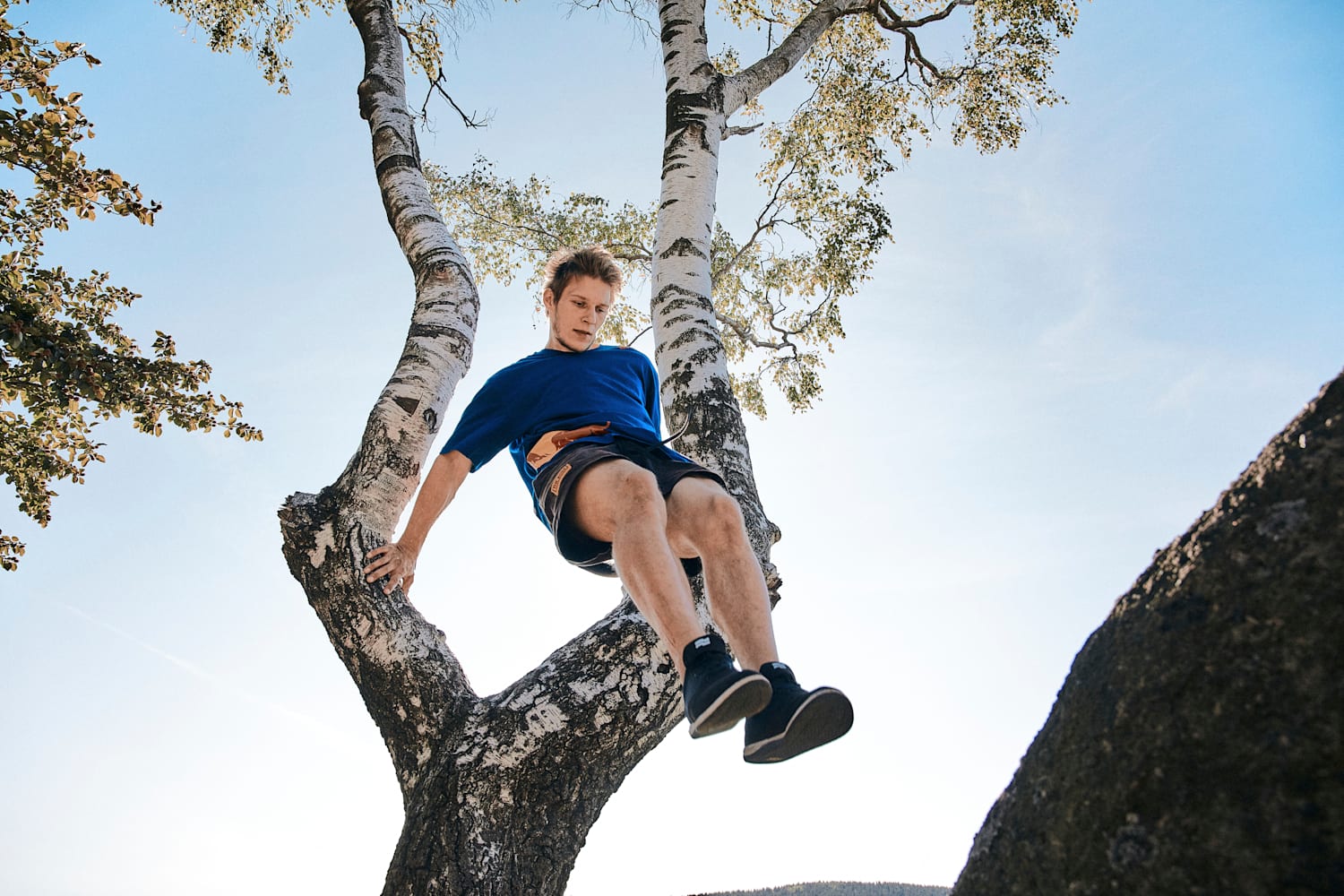 Freerun 2024