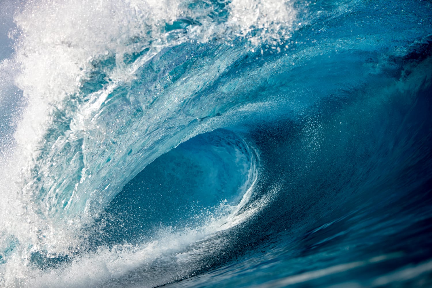 Mavericks wave shop