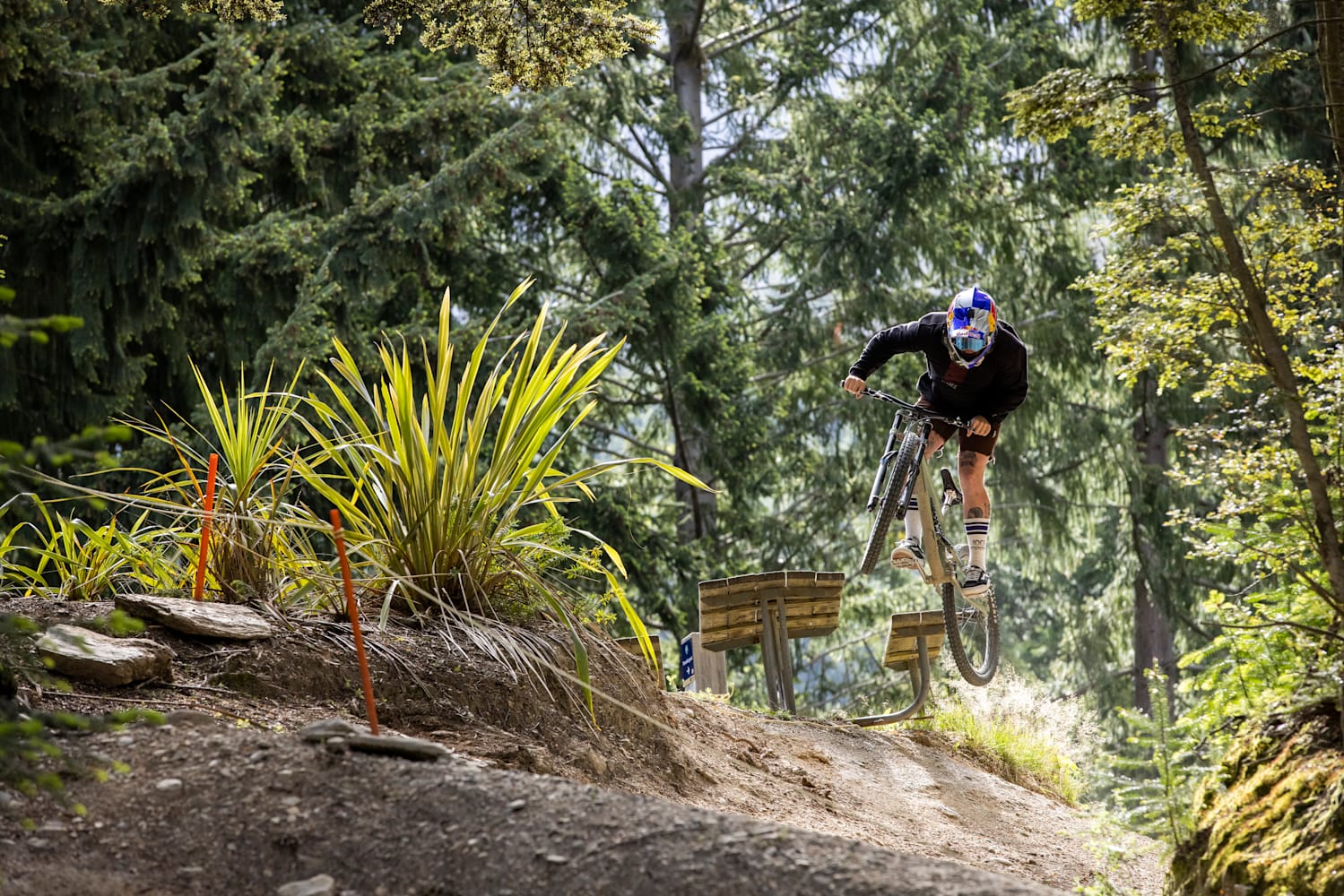 Remy morton red bull clearance