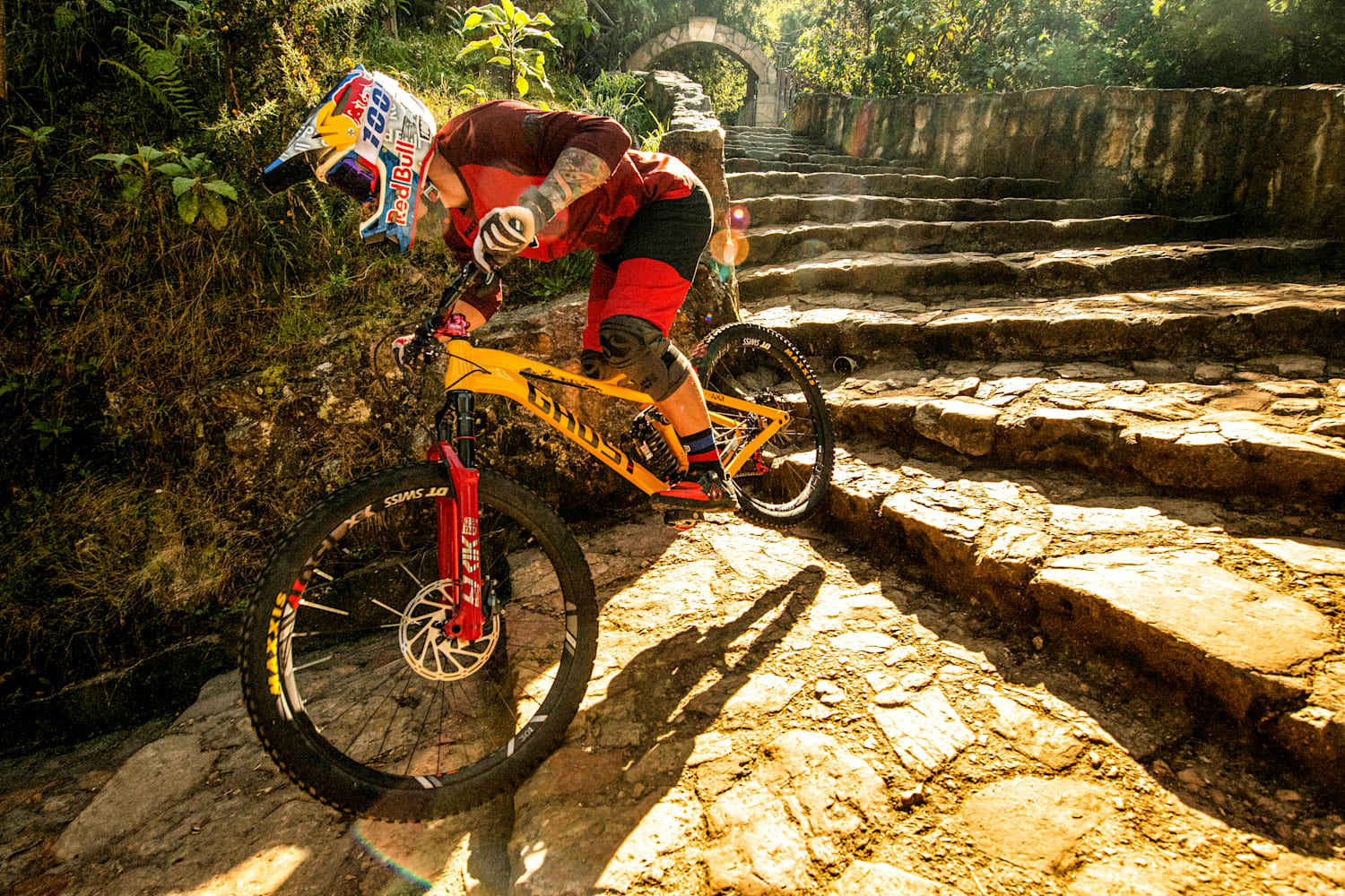 Urban mtb store freeride