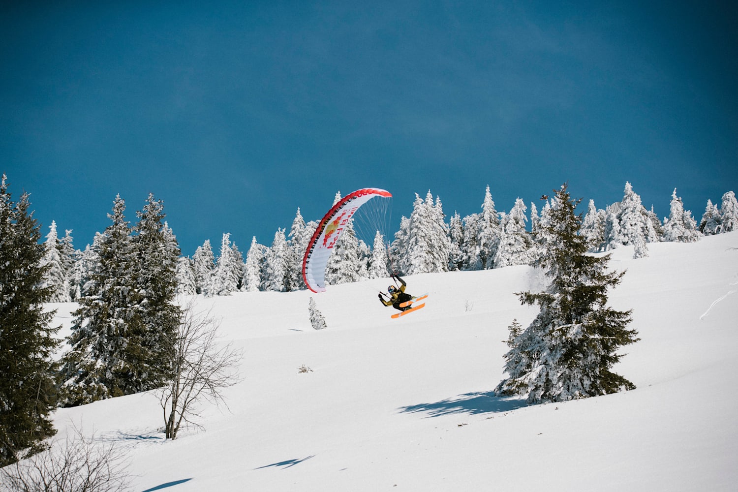 Gopro karma follow me hot sale skiing
