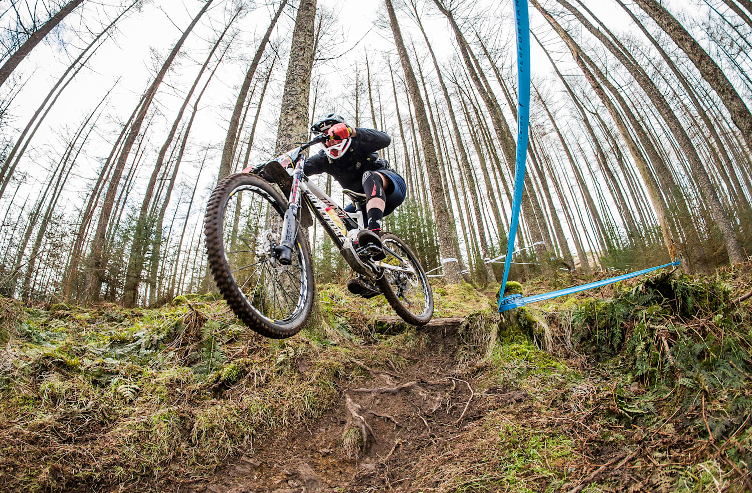 Best mtb in 2020 discount