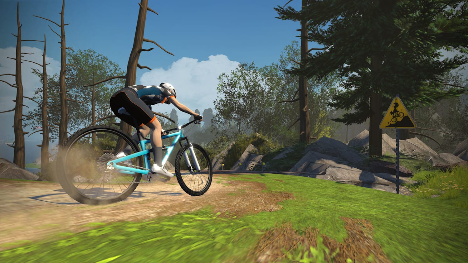 virtual mountain bike trainer