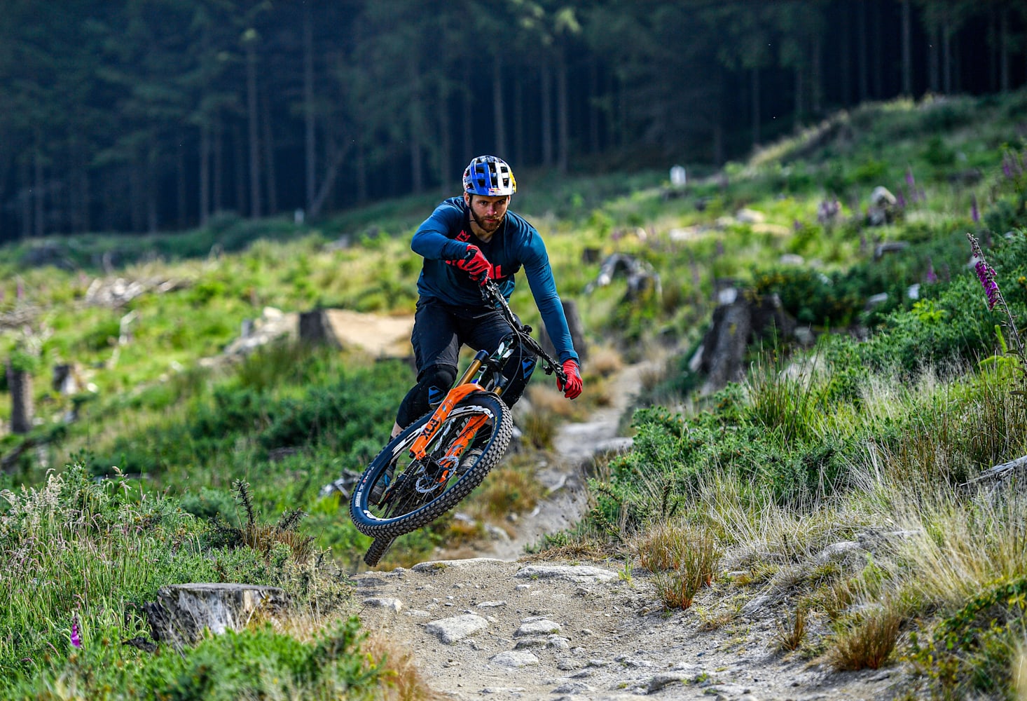 Greg cheap callaghan mtb