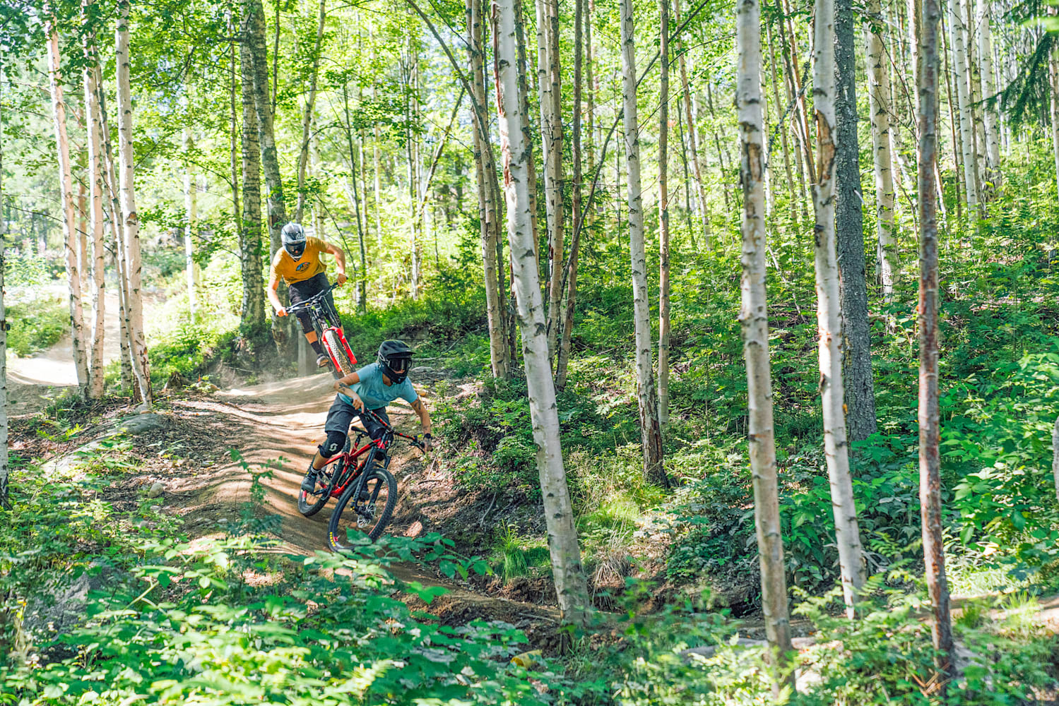 beginner downhill mountain bike trails