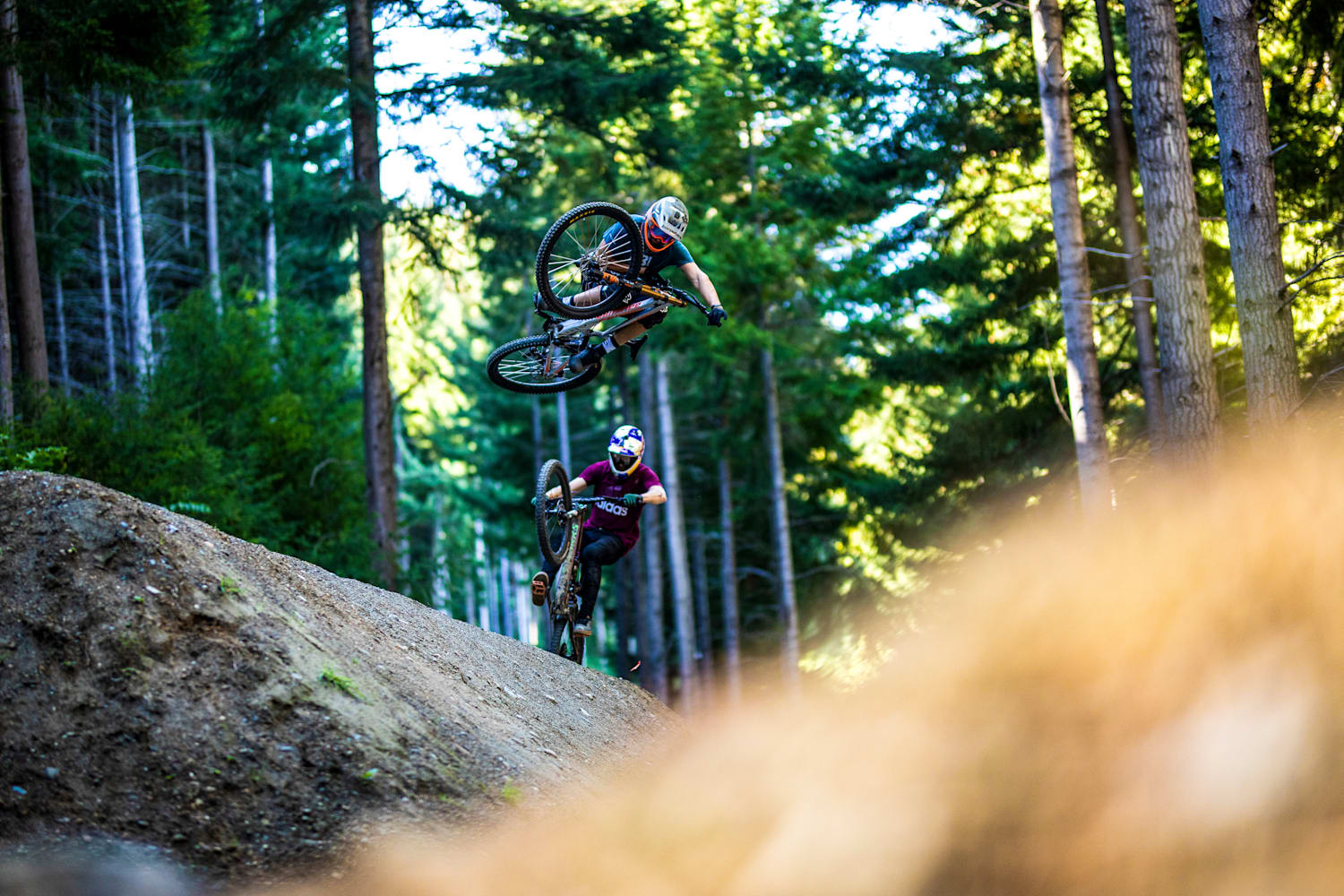 Red bull mtb videos shop