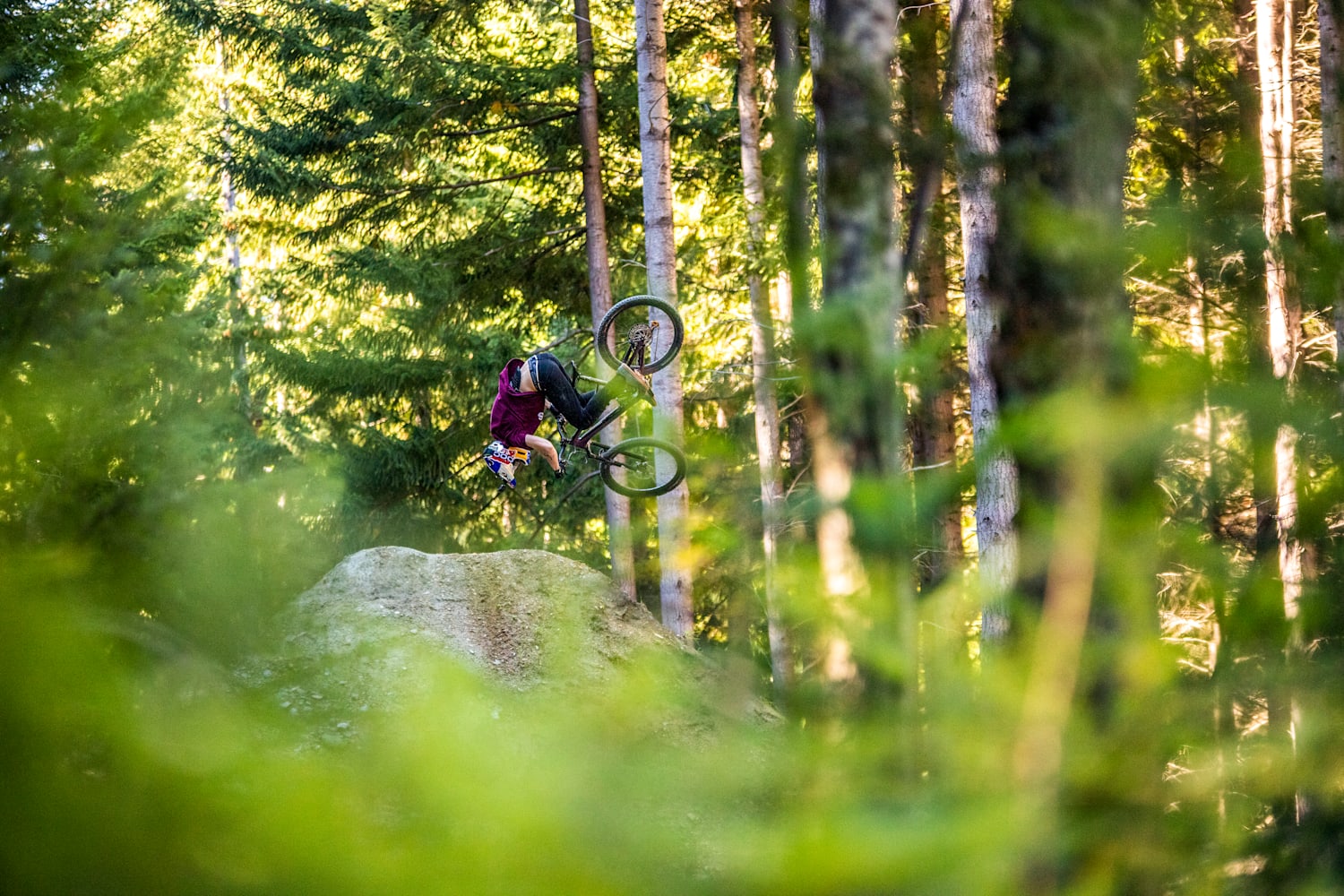 European bike parks sales