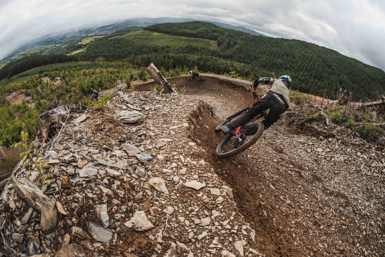 Dyfi Bike Park - Guide: Everything you need to know