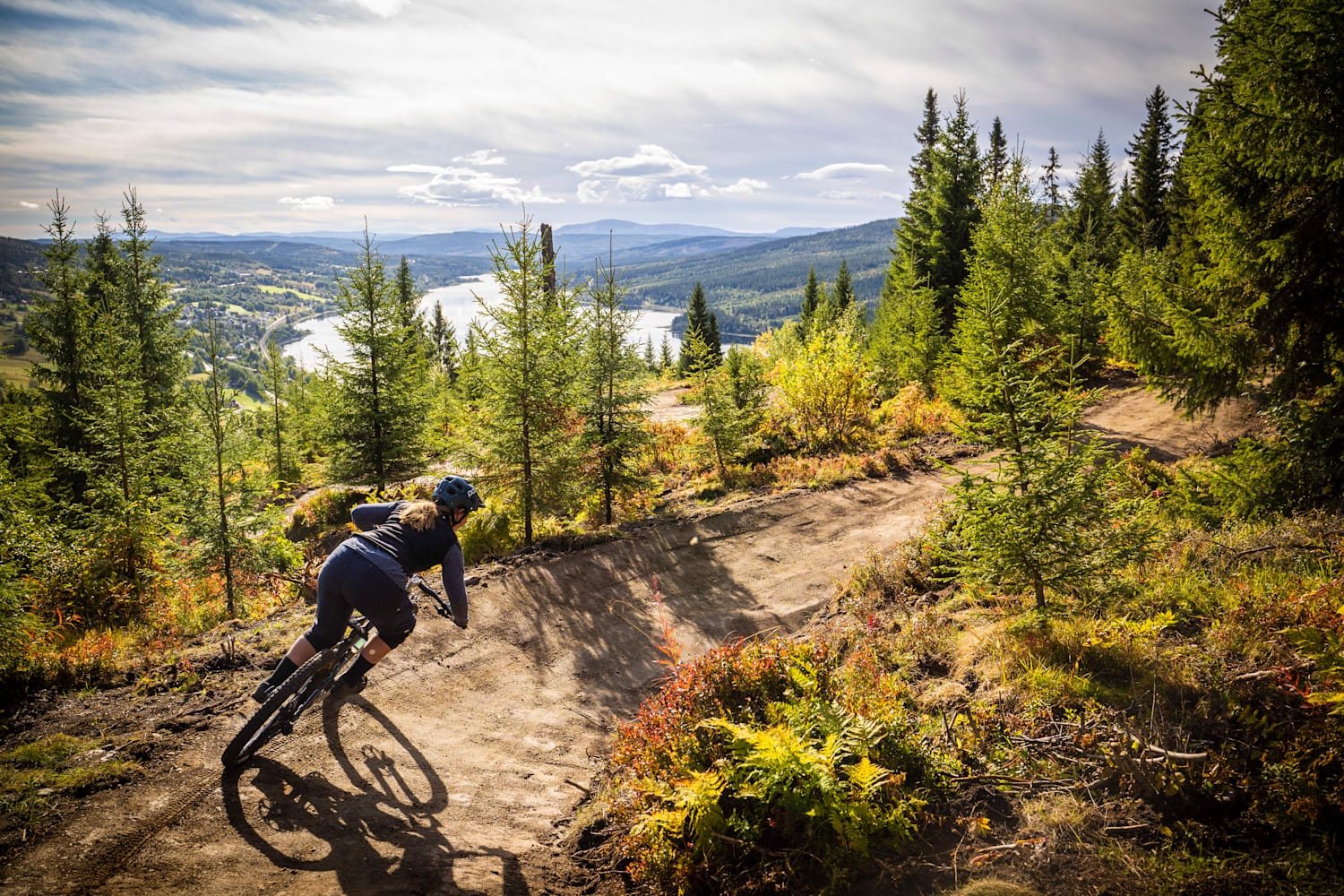Xc trail mountain bike best sale