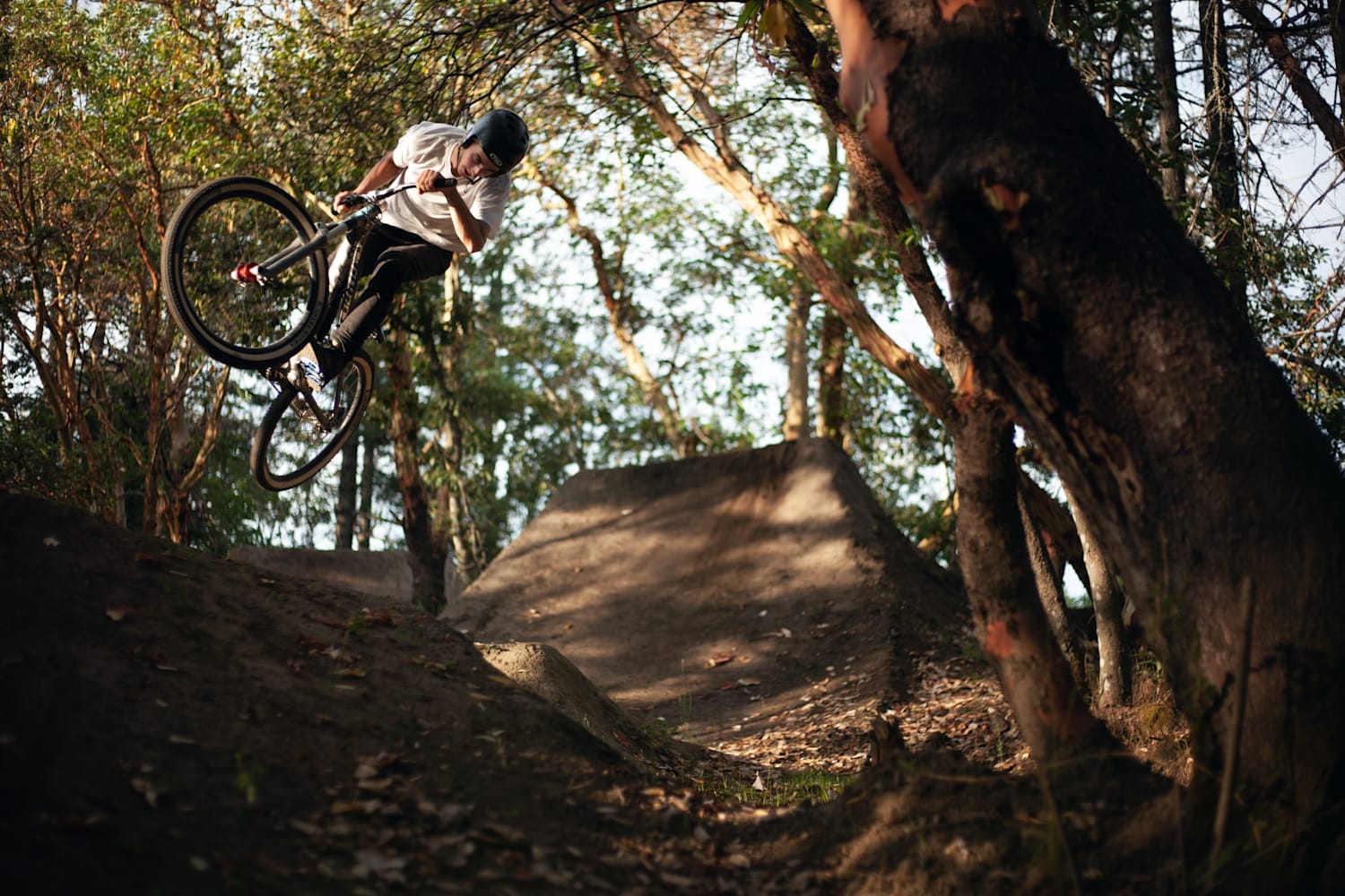 Bmx dirt 2025 jumps backyard