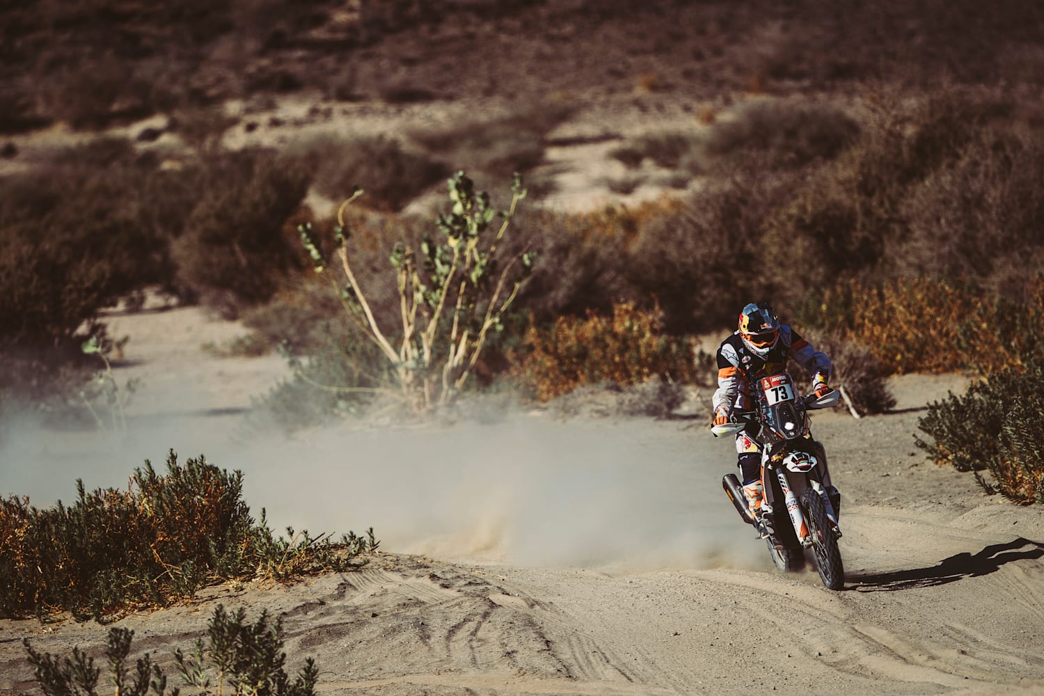 达喀尔拉力大赛新秀语录