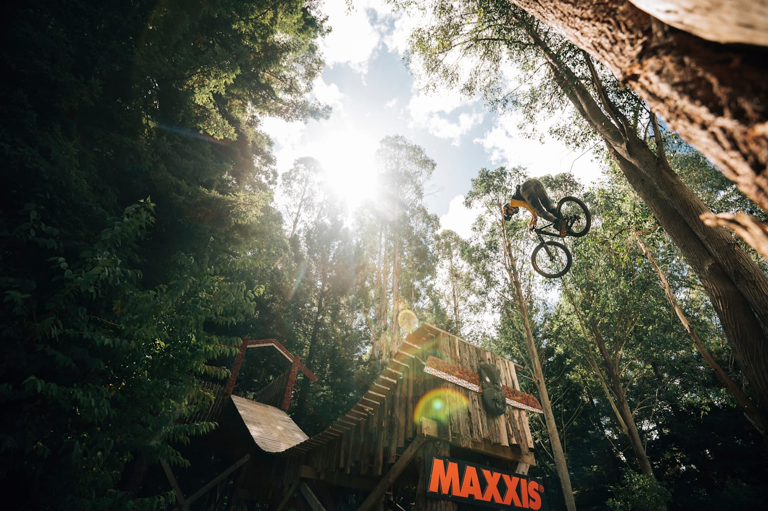 Slopestyle mtb 2019 new arrivals