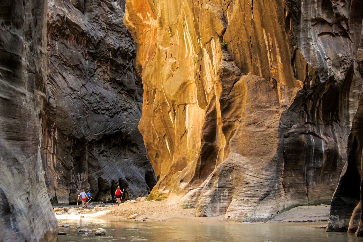 Zion narrows guided hike sale